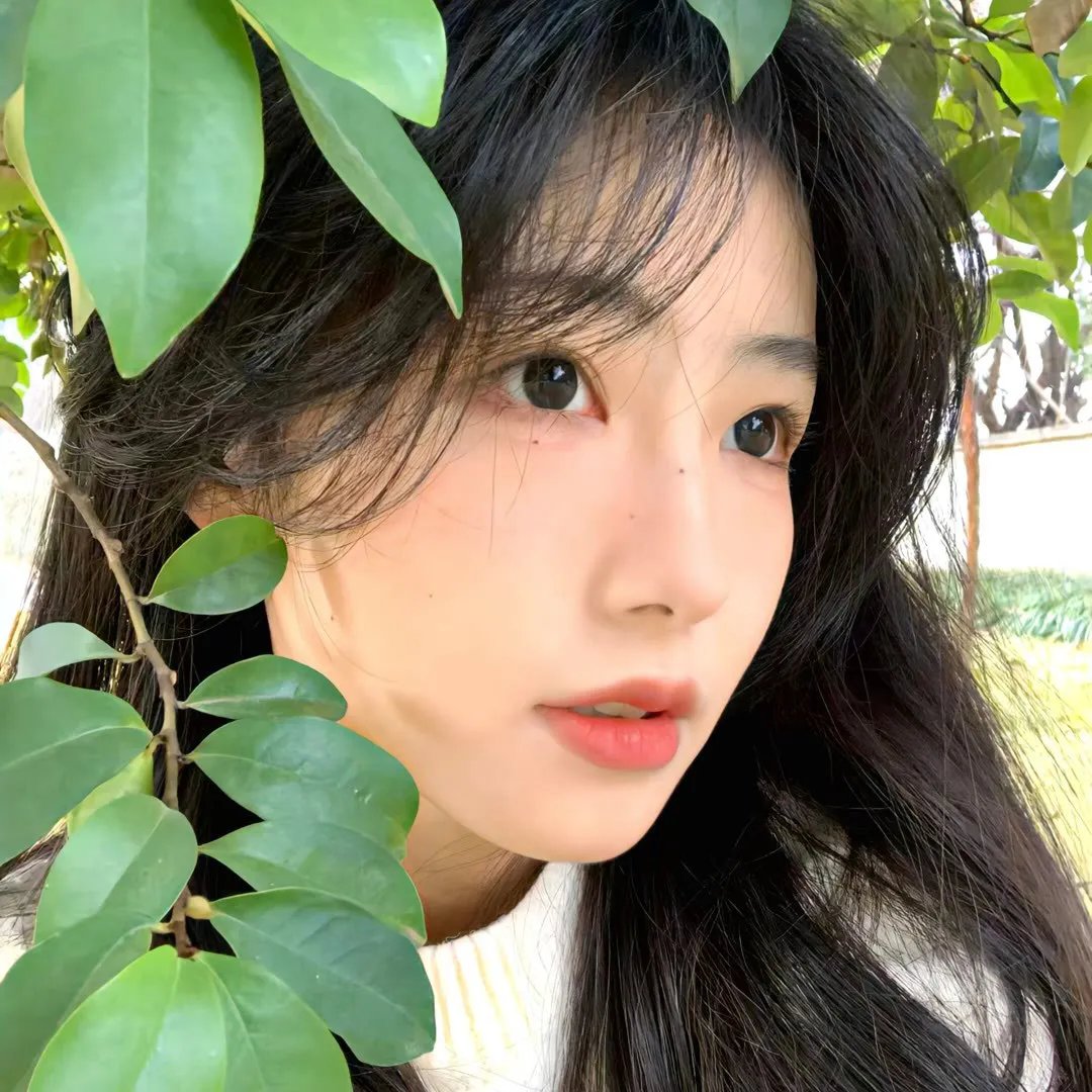 坚强 封面