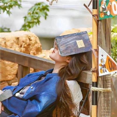 戏子人生 封面